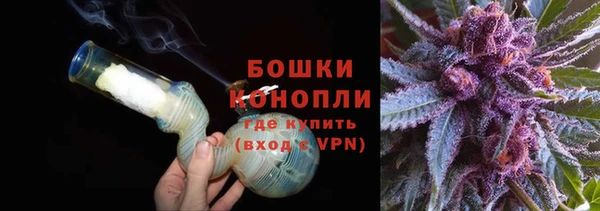 сатива Белокуриха