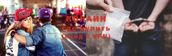 гидра Инта