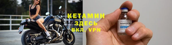 индика Беломорск