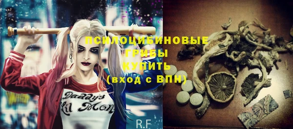 МДПВ Богородицк