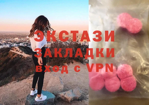 индика Беломорск