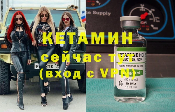 сатива Белокуриха